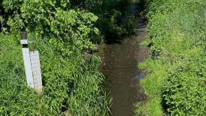 Rzeki i strugi wysychają - wydano ostrzeżenie przed suszą hydrologiczną