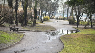 Rewitalizacją parków zajmie się inna firma. Dlaczego?