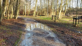 Migawki z miasta - suchej drogi przez park