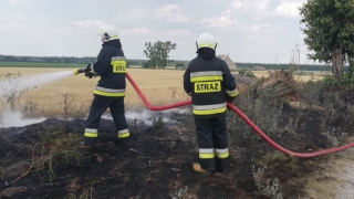 Susza daje się we znaki