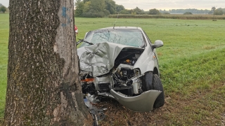 Auto uderzyło w drzewo na łuku drogi