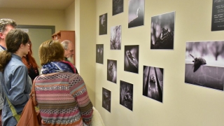 „Odwilż” w fotograficznej interpretacji Agaty Ożarowskiej