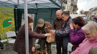 Tysiąc drzewek za makulaturę