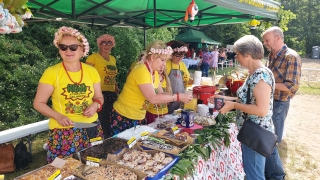 Wiejski piknik w Stadzie Ogierów