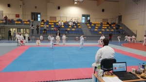 Puchar Wielkopolski w Karate Tradycyjnym