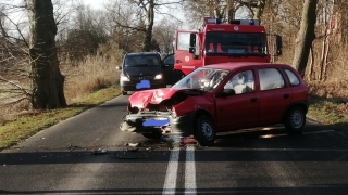 Auto uderzyło w drzewo