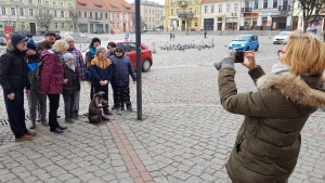 Pierwsze króliki już na Trakcie Królewskim