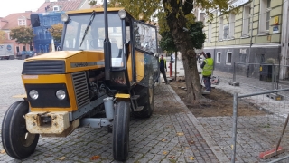 Rozpoczęło się „zazielenianie” Rynku