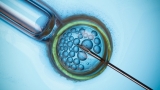 Radni przyjęli uchwałę o dofinansowaniu in vitro