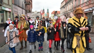 Podkoziołek przeszedł ulicami centrum Gniezna