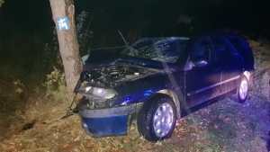 Pijany kierowca uderzył w drzewo