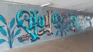 Nowe graffiti w przejściu pod Trasą Zjazdu Gnieźnieńskiego