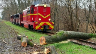 Wichura „odebrała” bigos, ale „ekspres” pojechał