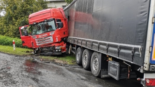 Ciężarówka uderzyła w drzewo i wpadła na posesję