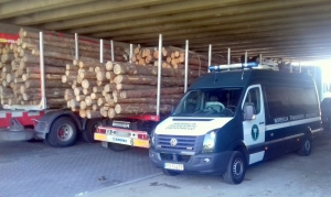 Transporty drewna pod specjalnym nadzorem