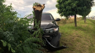 Na łuku drogi uderzył w drzewo