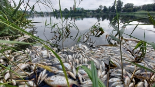 „Natura często wygrywa z człowiekiem i działa nie do końca tak, jak byśmy chcieli”