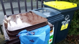 Odbiór odpadów w gminie Gniezno według dwóch sektorów