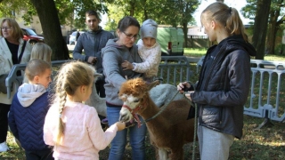 Rodzinny festyn ze zbiórką dla Ingi