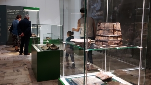 Zabytki z lasu - nowa wystawa w Muzeum