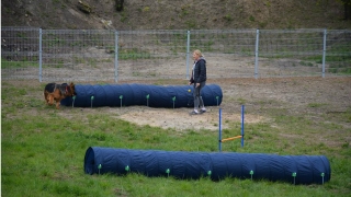 Wybieg dla psów na os. Tysiąclecia już otwarty