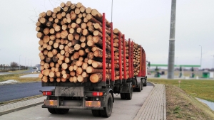 Wiózł drewno ważące 10 ton za dużo