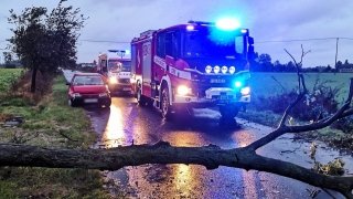 Auto uderzyło w przewrócone drzewo