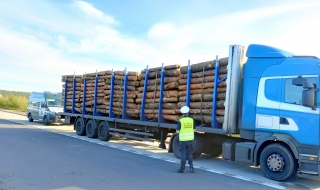 Przeładował transport drewna o ponad 11 ton za dużo