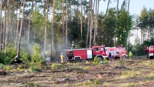 Pożar w lesie niedaleko Mielna