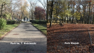 Priorytety w parkach - którędy lepiej nie przechodzić?
