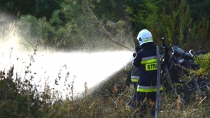 Wypalanie traw szkodzi i grozi odebraniem dopłat