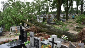Wydawanie drewna z powalonych drzew na cmentarzach
