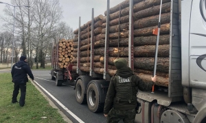 Wspólne działania Policji, Straży Leśnej oraz ITD