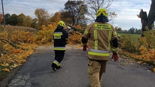 Wichura daje się we znaki - liczne interwencje strażaków