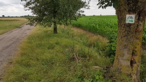 Szlaki rowerowe ponownie dostępne