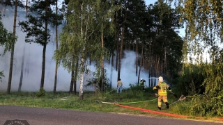 Pożar lasu koło Witkowa