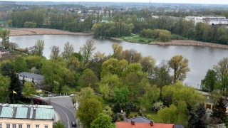 Wprowadzono zakaz połowu ryb na Jeziorze Jelonek