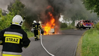 Pożar pojazdu na szosie