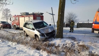 Auto uderzyło w drzewo