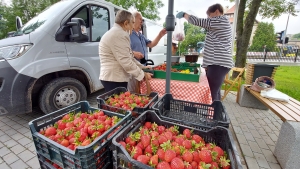 Truskawki, sery i miody zagościły przed CK eSTeDe