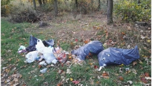 Nie miał pojemników na śmieci, więc odpady wyrzucił w lesie