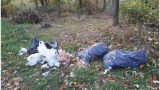 Nie miał pojemników na śmieci, więc odpady wyrzucił w lesie