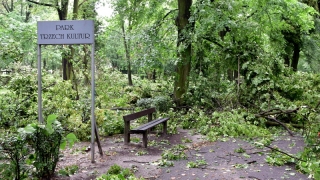 Rewitalizacja parku „kosztem” kilku ulic i boiska