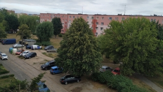 Podwórko między blokami pod parking i zieleniec