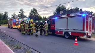 Zderzenie motocyklisty z sarną