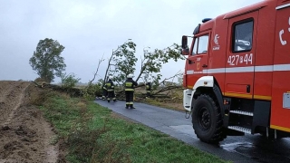 Strażacy interweniowali w trakcie wichury