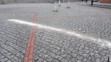 List do redakcji - Rynek czy gołębia stołówka?