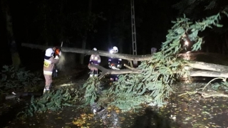 Niespokojna noc służb: powalone drzewa, braki prądu