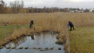 Wędkarze posprzątali otoczenie Jeziora Jelonek