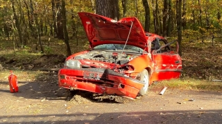 Auto uderzyło w drzewo - jedna osoba poszkodowana